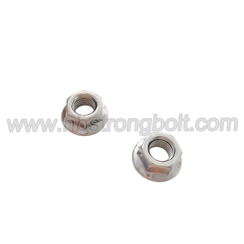 ISO4161 Hex Flange Nuts Class 10