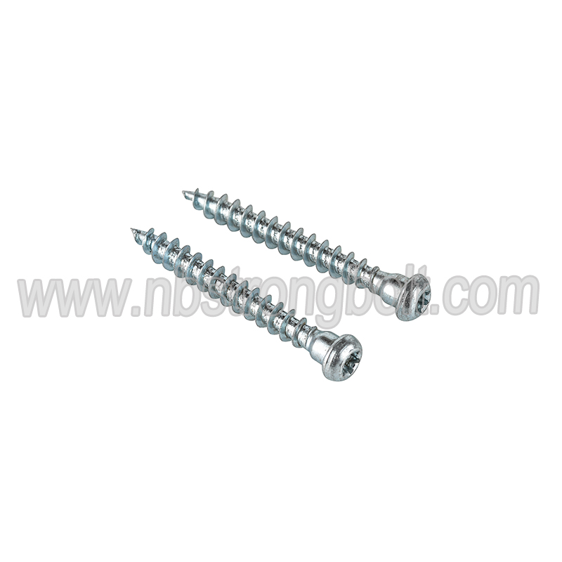 Special Screw with  Zinc Plated