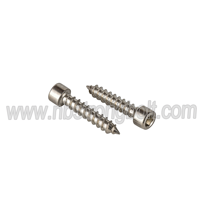 Stainless Steel Hexagon Self-Tapping Screw