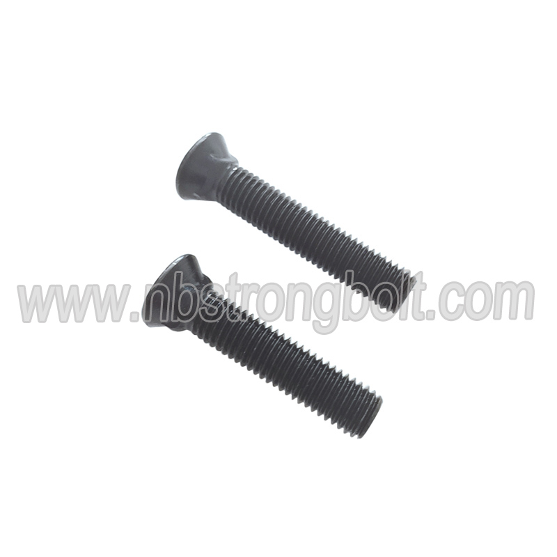 Flat Countersunk Square Neck Bolt with Black