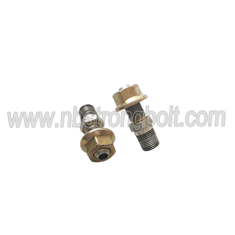 Auto Parts Bolts with Lock Nuts